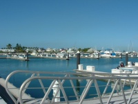 Marina de millionnaires.jpg